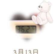 ヒメ日記 2025/03/13 09:01 投稿 ゆきな 石庭