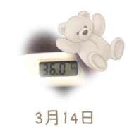 ヒメ日記 2025/03/14 09:01 投稿 ゆきな 石庭