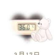 ヒメ日記 2025/03/17 09:20 投稿 ゆきな 石庭