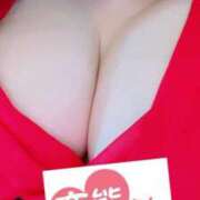 ヒメ日記 2025/03/20 05:50 投稿 ゆきな 石庭