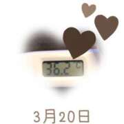 ヒメ日記 2025/03/20 09:01 投稿 ゆきな 石庭