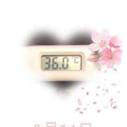 ヒメ日記 2025/03/21 09:20 投稿 ゆきな 石庭