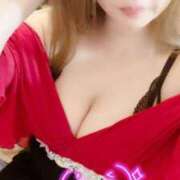 ヒメ日記 2025/03/24 07:20 投稿 ゆきな 石庭