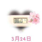 ヒメ日記 2025/03/24 09:16 投稿 ゆきな 石庭