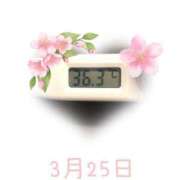 ヒメ日記 2025/03/25 09:20 投稿 ゆきな 石庭