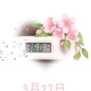 ヒメ日記 2025/03/27 09:10 投稿 ゆきな 石庭