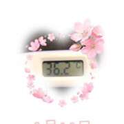 ヒメ日記 2025/03/29 09:01 投稿 ゆきな 石庭