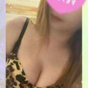 ヒメ日記 2025/03/31 06:00 投稿 ゆきな 石庭