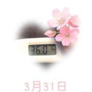 ヒメ日記 2025/03/31 09:15 投稿 ゆきな 石庭