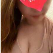 ヒメ日記 2025/04/01 08:20 投稿 ゆきな 石庭