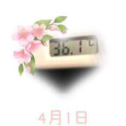 ヒメ日記 2025/04/01 09:15 投稿 ゆきな 石庭