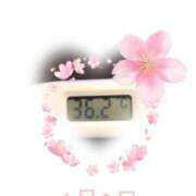 ヒメ日記 2025/04/02 09:00 投稿 ゆきな 石庭