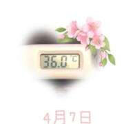 ヒメ日記 2025/04/07 09:00 投稿 ゆきな 石庭