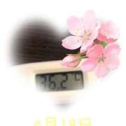 ヒメ日記 2025/04/18 09:01 投稿 ゆきな 石庭