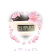 ヒメ日記 2025/04/19 09:01 投稿 ゆきな 石庭