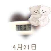 ヒメ日記 2025/04/21 09:00 投稿 ゆきな 石庭