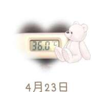 ヒメ日記 2025/04/23 09:10 投稿 ゆきな 石庭