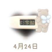 ヒメ日記 2025/04/24 09:00 投稿 ゆきな 石庭