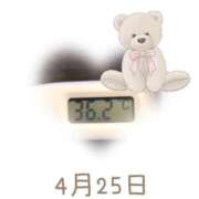 ヒメ日記 2025/04/25 09:01 投稿 ゆきな 石庭