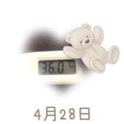 ヒメ日記 2025/04/28 09:10 投稿 ゆきな 石庭