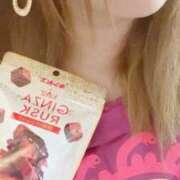 ヒメ日記 2025/04/28 21:32 投稿 ゆきな 石庭