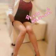 ヒメ日記 2025/04/29 06:40 投稿 ゆきな 石庭