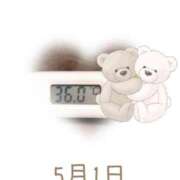 ヒメ日記 2025/05/01 09:00 投稿 ゆきな 石庭