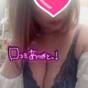 ヒメ日記 2025/05/01 09:20 投稿 ゆきな 石庭