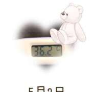 ヒメ日記 2025/05/02 09:02 投稿 ゆきな 石庭