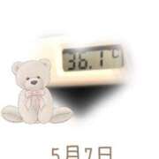 ヒメ日記 2025/05/07 09:01 投稿 ゆきな 石庭