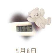 ヒメ日記 2025/05/08 09:00 投稿 ゆきな 石庭