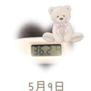 ヒメ日記 2025/05/09 09:01 投稿 ゆきな 石庭