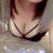 ヒメ日記 2025/05/10 08:34 投稿 ゆきな 石庭