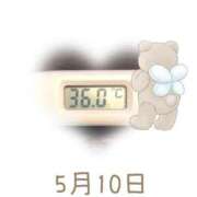 ヒメ日記 2025/05/10 09:00 投稿 ゆきな 石庭