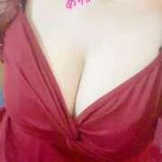 ヒメ日記 2025/05/10 21:20 投稿 ゆきな 石庭