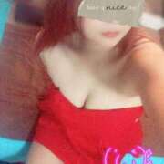 ヒメ日記 2025/05/14 06:40 投稿 ゆきな 石庭