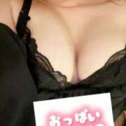 ヒメ日記 2025/05/14 07:20 投稿 ゆきな 石庭