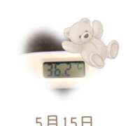 ヒメ日記 2025/05/15 09:01 投稿 ゆきな 石庭