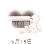 ヒメ日記 2025/05/16 09:11 投稿 ゆきな 石庭