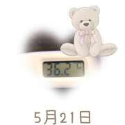 ヒメ日記 2025/05/21 09:15 投稿 ゆきな 石庭