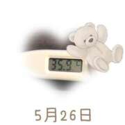 ヒメ日記 2025/05/26 09:01 投稿 ゆきな 石庭