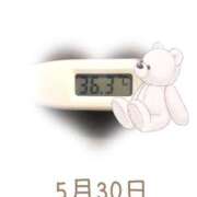 ヒメ日記 2025/05/30 09:01 投稿 ゆきな 石庭