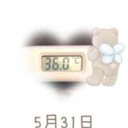 ヒメ日記 2025/05/31 09:00 投稿 ゆきな 石庭