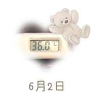 ヒメ日記 2025/06/02 09:00 投稿 ゆきな 石庭