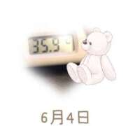 ヒメ日記 2025/06/04 09:00 投稿 ゆきな 石庭