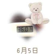 ヒメ日記 2025/06/05 09:01 投稿 ゆきな 石庭