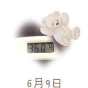 ヒメ日記 2025/06/09 09:15 投稿 ゆきな 石庭