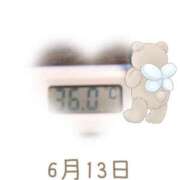 ヒメ日記 2025/06/13 09:01 投稿 ゆきな 石庭