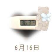 ヒメ日記 2025/06/16 09:00 投稿 ゆきな 石庭