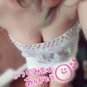 ヒメ日記 2025/06/17 12:22 投稿 ゆきな 石庭